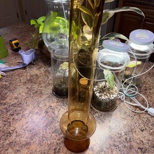 Tall Amber Vintage Glass Bud Vase - Sleek Cylinder